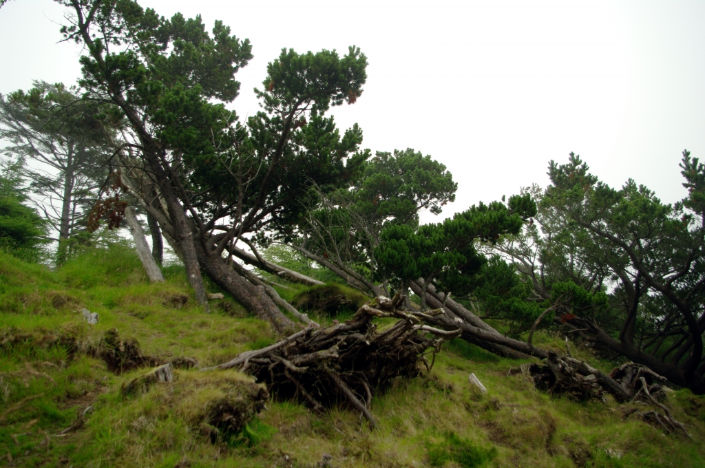 На Фарерских островах очень сильные ветры. Иногда посадки