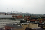 В Копенгагене принят план, по которому все плоские крыши (с