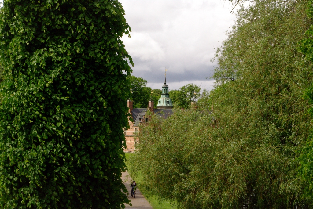 Слева от дороги ведущей в парк от дворца,