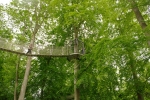 В парке у замка Эгесков, высоко в кронах деревьев устроены