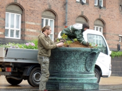 Копенгаген - одна из самых "зеленых" столиц мира. И в смысле количества зелени на улице и в смысле отношения жителей к экологии.