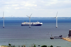 В Дании уже сейчас (2010 г.) около 29% электроэнергии производится из энергии ветра. Генераторы часто устанавливают прямо в море. Там сильнее ветры, они не занимают полезного места, не портят пейзаж.